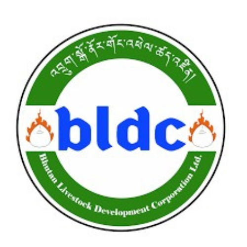 Untitled design (11)